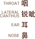 Small Intestine Connected Systems